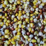 MAXI BAITS MIX KUVANOG KUKURUZA 1 KG