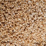 MAXI BAITS KUVANA PSENICA 500 GR