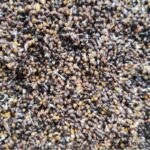 MAXI BAITS KUVANA KONOPLJA 500 GR